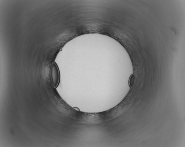 X0000113060768200909250909