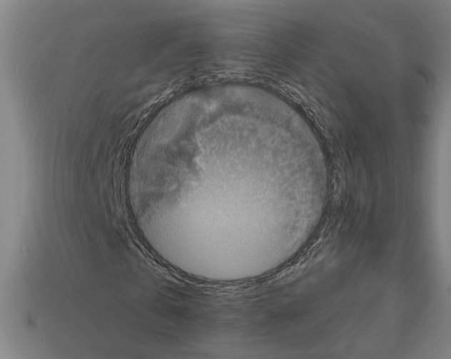 X0000113060769200909250908