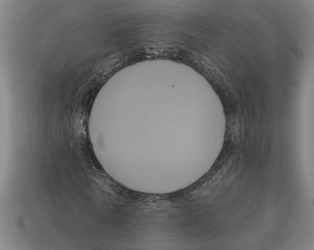 X0000113060770200909250908