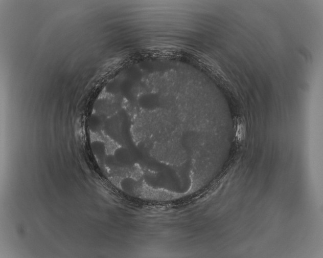 X0000113060771200909250908