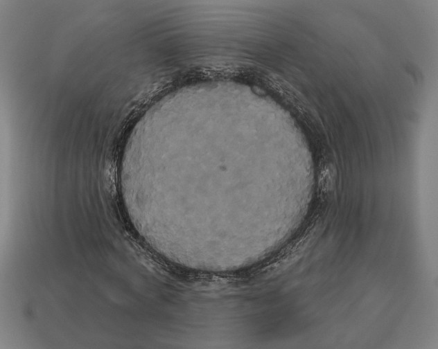 X0000113060772200909250908