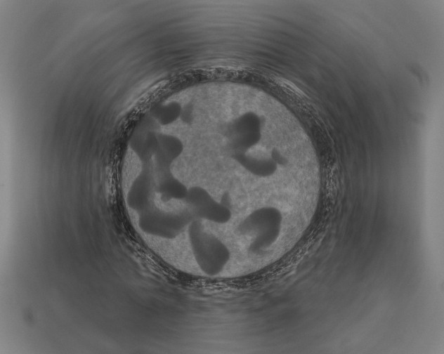 X0000113060774200909250908