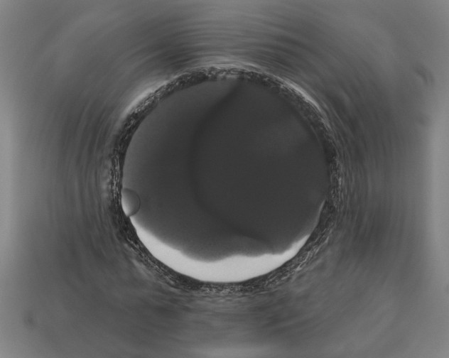 X0000113060775200909250908