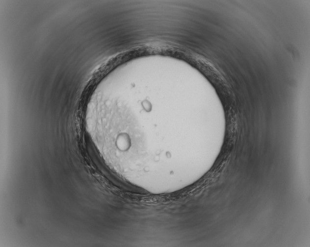 X0000113060776200909250908