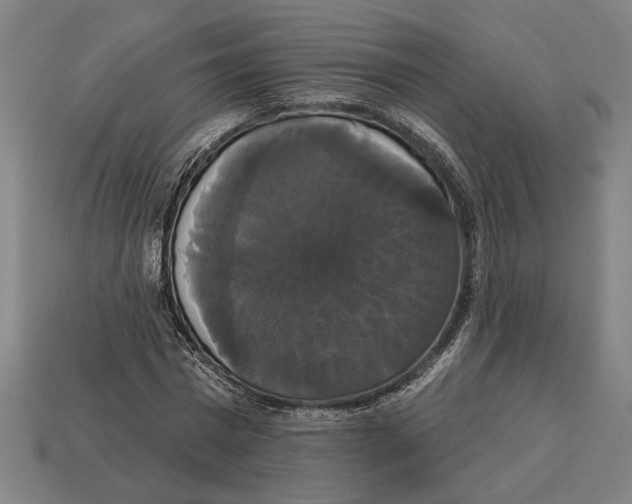 X0000113060777200909250908