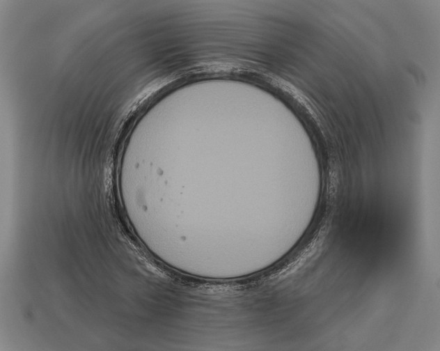 X0000113060778200909250908