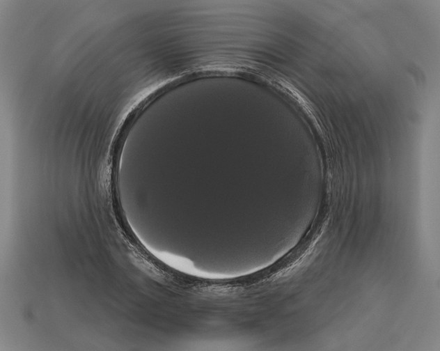 X0000113060779200909250908