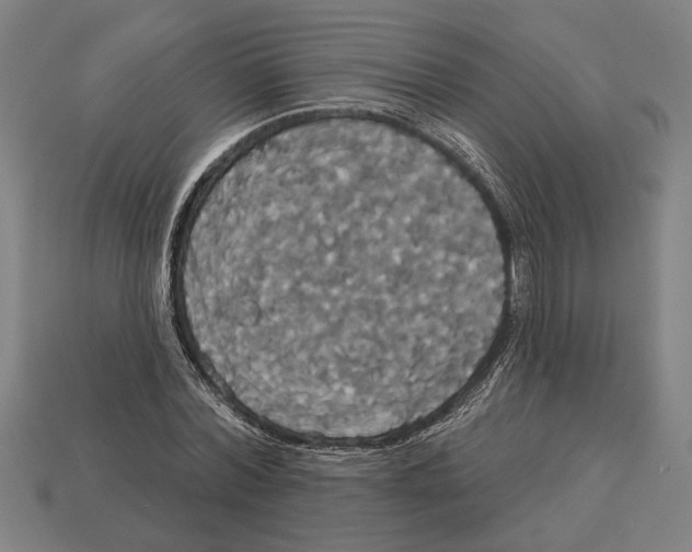 X0000113060780200909250908