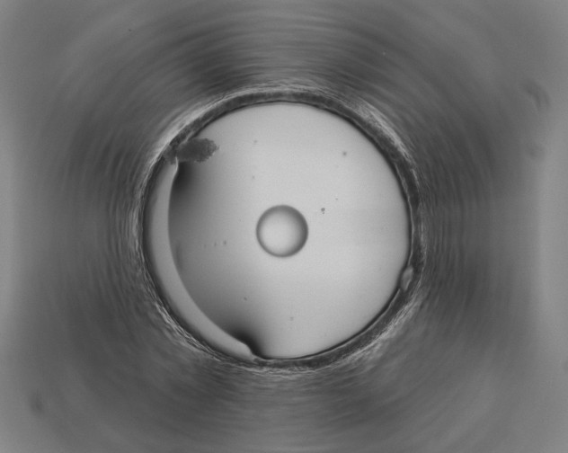 X0000113060781200909250908