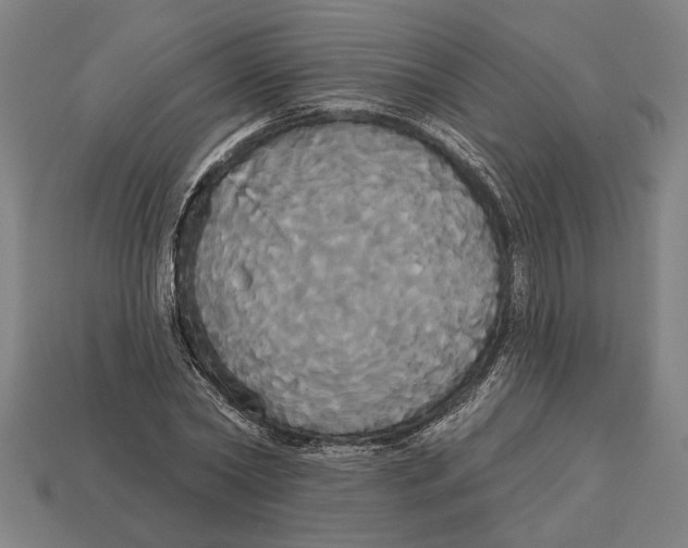 X0000113060782200909250908