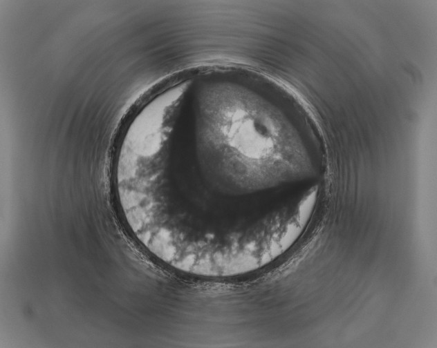 X0000113060783200909250908