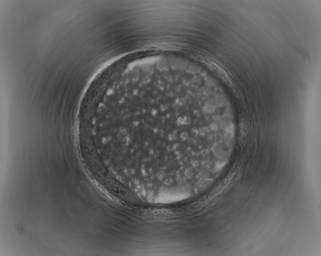 X0000113060784200909250908