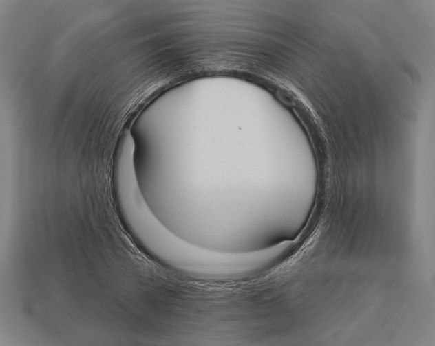 X0000113060785200909250908