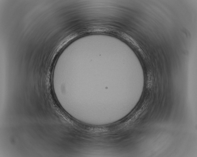 X0000113060786200909250908