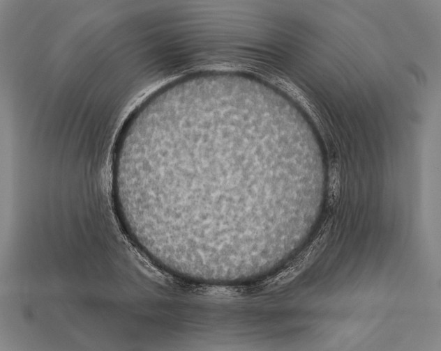 X0000113060787200909250908