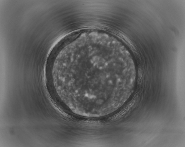 X0000113060788200909250908