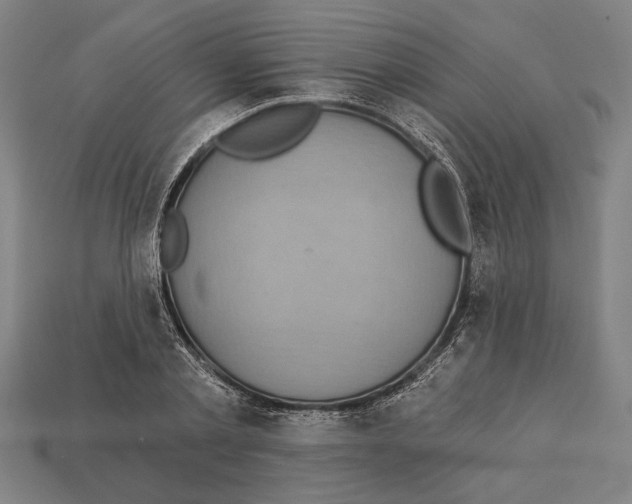 X0000113060789200909250908