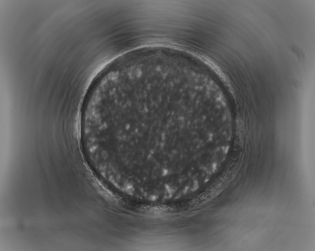 X0000113060791200909250908