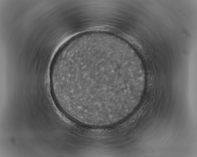 X0000113060792200909250908