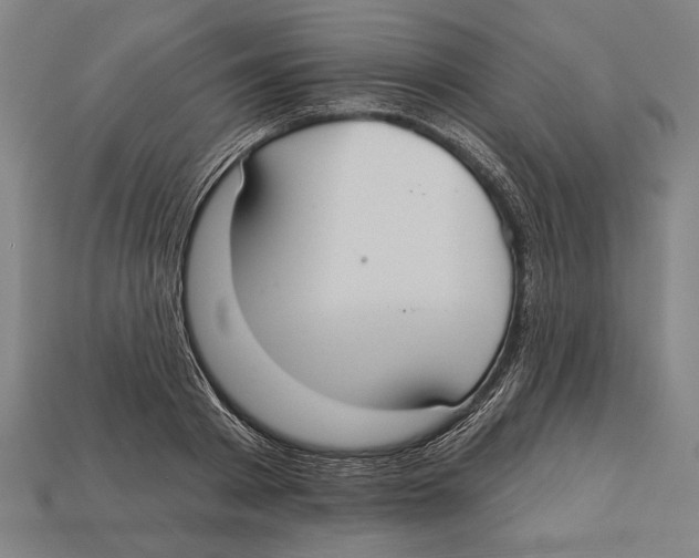 X0000113060793200909250908