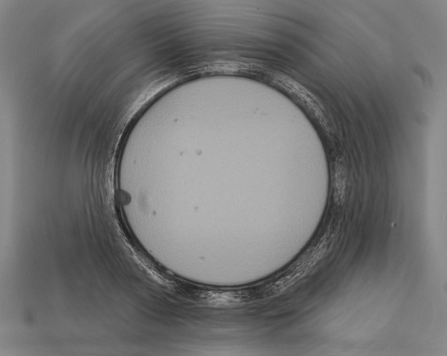 X0000113060794200909250908