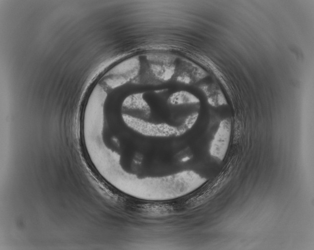 X0000113060795200909250908