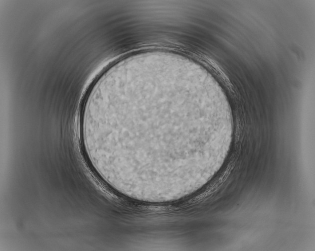 X0000113060796200909250908