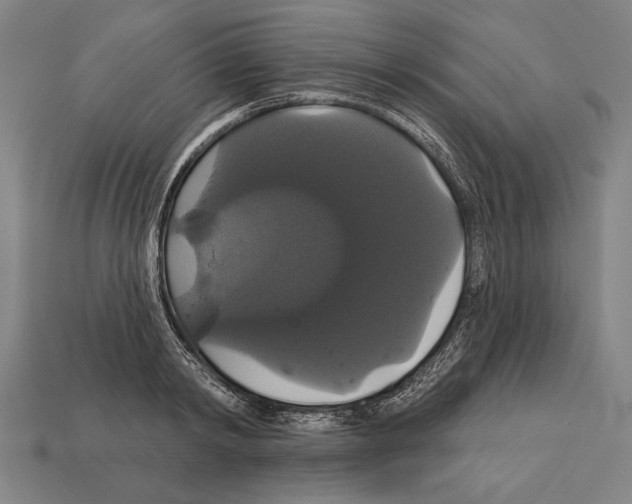 X0000113060798200909250908