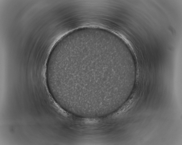 X0000113060799200909250908