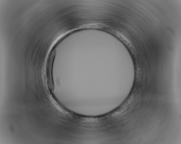 X0000113060800200909250908