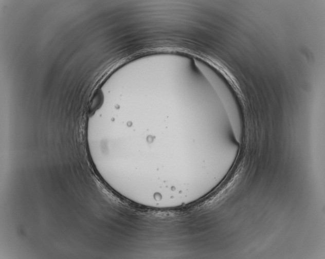 X0000113060801200909250908