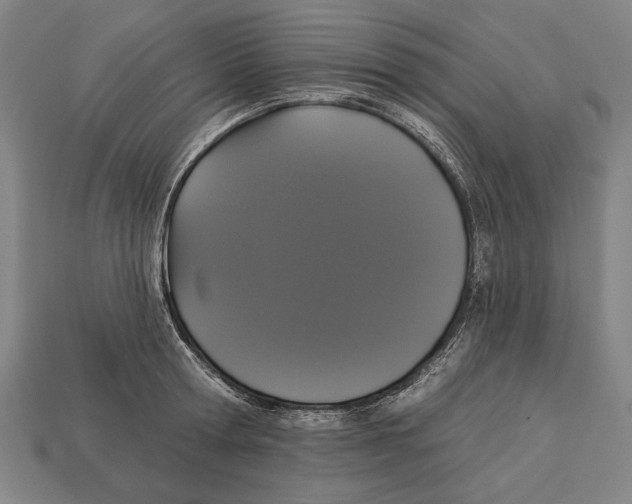 X0000113060802200909250908