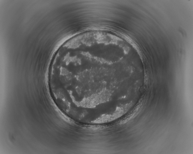 X0000113060803200909250908