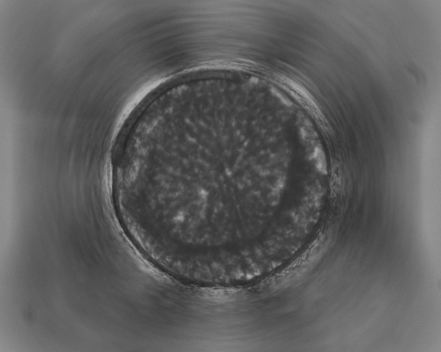 X0000113060804200909250908