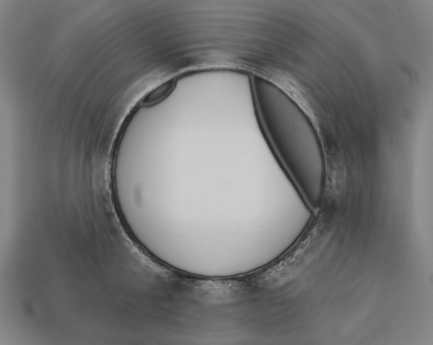 X0000113060805200909250908