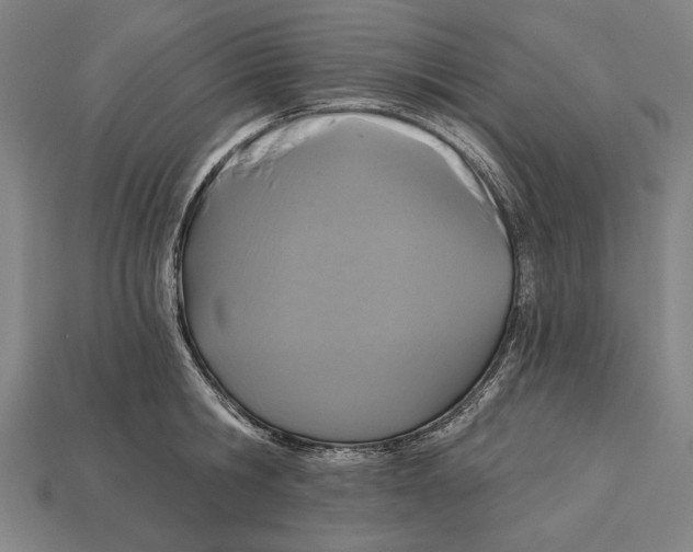 X0000113060806200909250908