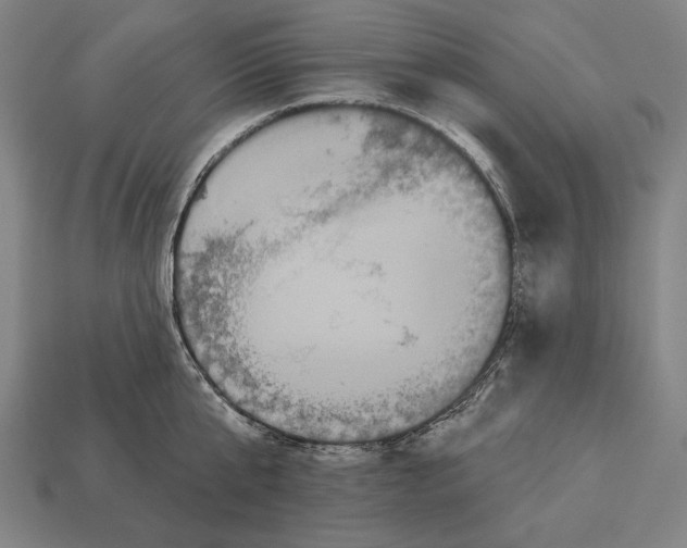 X0000113060807200909250908