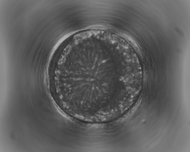 X0000113060808200909250908