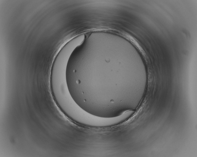 X0000113060810200909250908