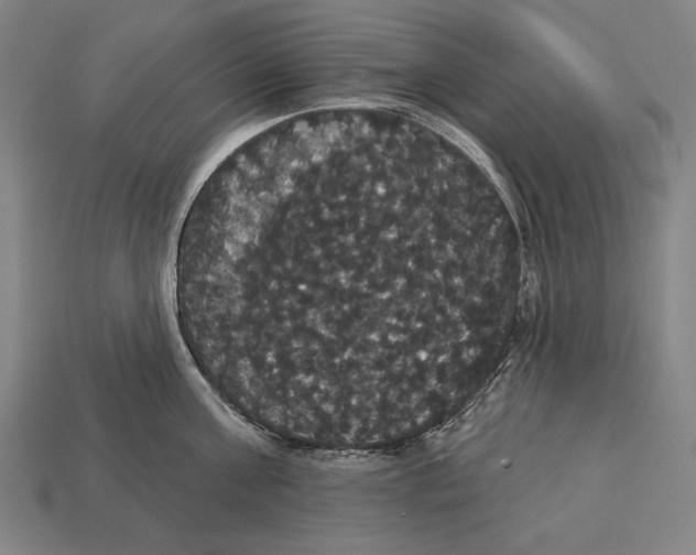 X0000113060811200909250908