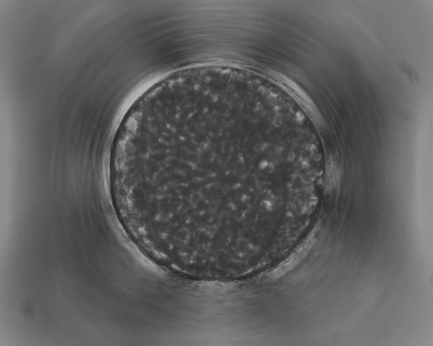 X0000113060812200909250908