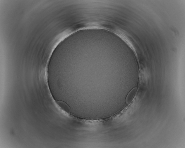 X0000113060813200909250907