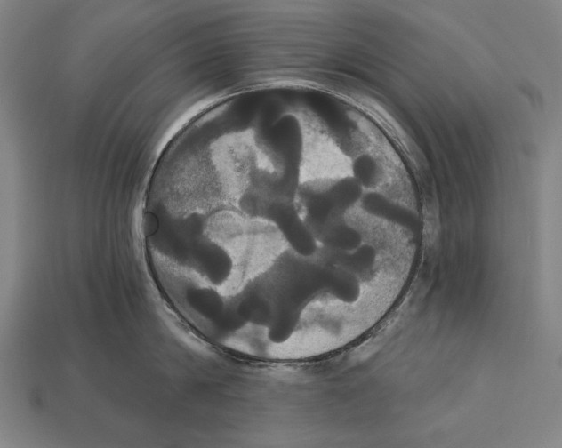 X0000113060814200909250907