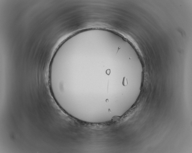 X0000113060815200909250907