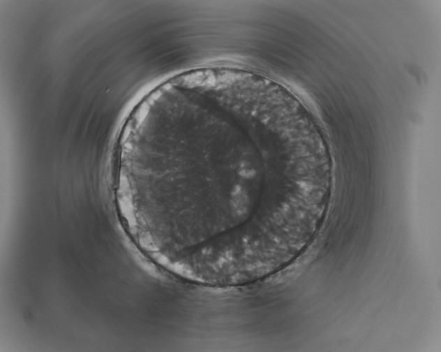 X0000113060816200909250907