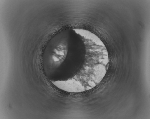 X0000113060817200909250907