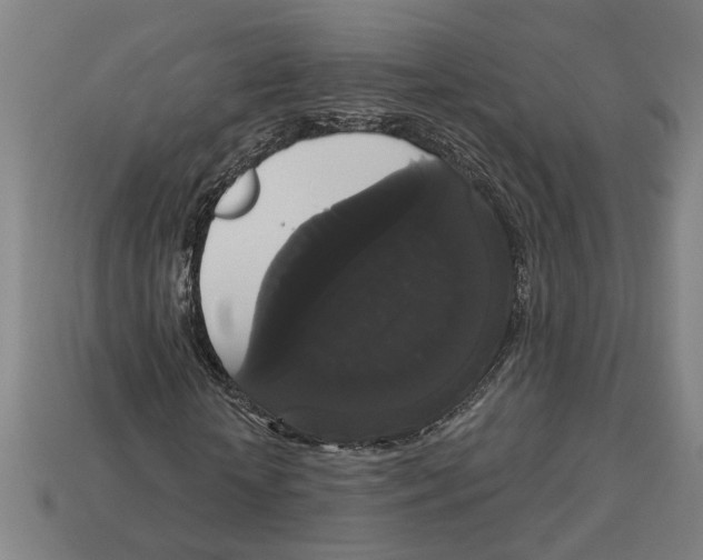 X0000113060818200909250907