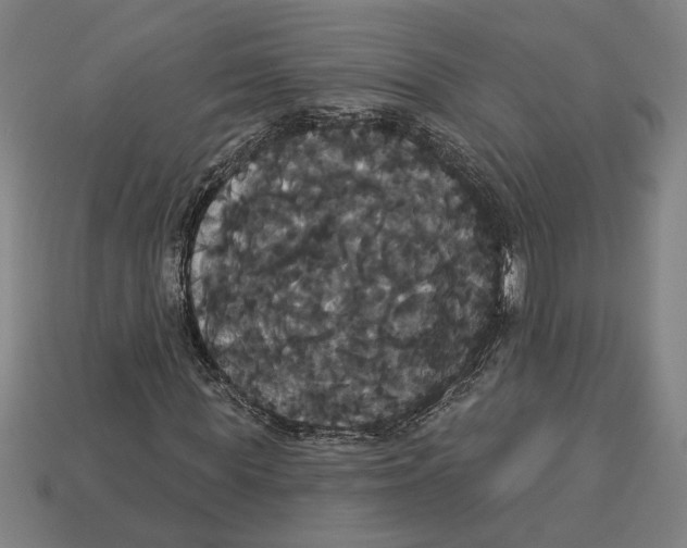 X0000113060819200909250907