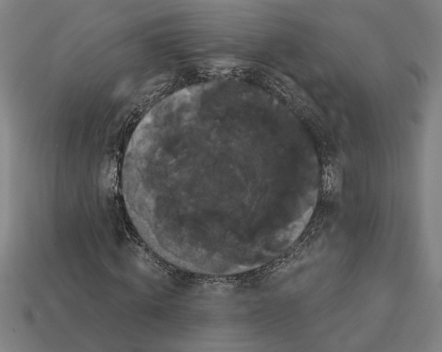 X0000113060820200909250907