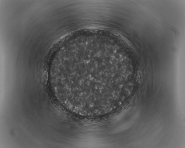 X0000113060821200909250907